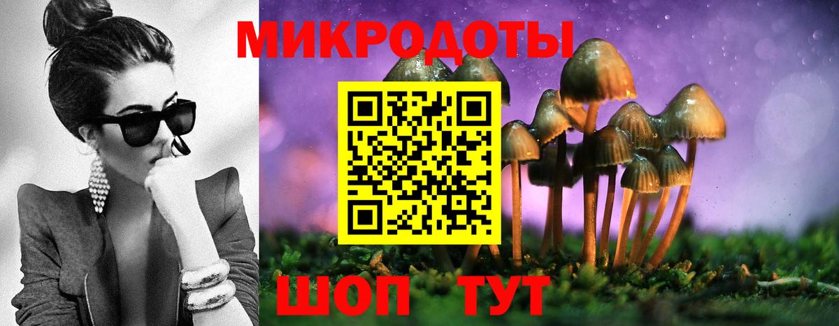 Псилоцибиновые грибы GOLDEN TEACHER Гулькевичи