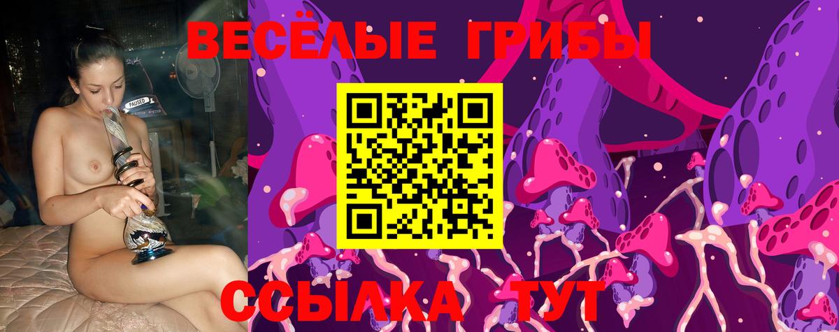 наркошоп  Вход с VPN  Гулькевичи  Псилоцибиновые грибы ЛСД 